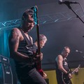 GutterPunk - Professional Concert Photography